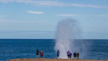 Un grupo de personas de pie en una orilla rocosa junto al mar, observando un géiser.