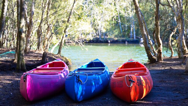 Three kayaks lined up on a dirt path beside a calm body of water, surrounded by trees.