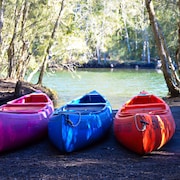 Jervis Bay Cabins & Hidden Creek Campsite