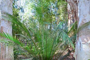 Exterior detail - Jervis Bay Cabins & Hidden Creek Campsite (Woollamia)