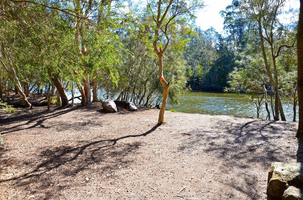 A campsite with a dirt ground, trees, and a body of water.