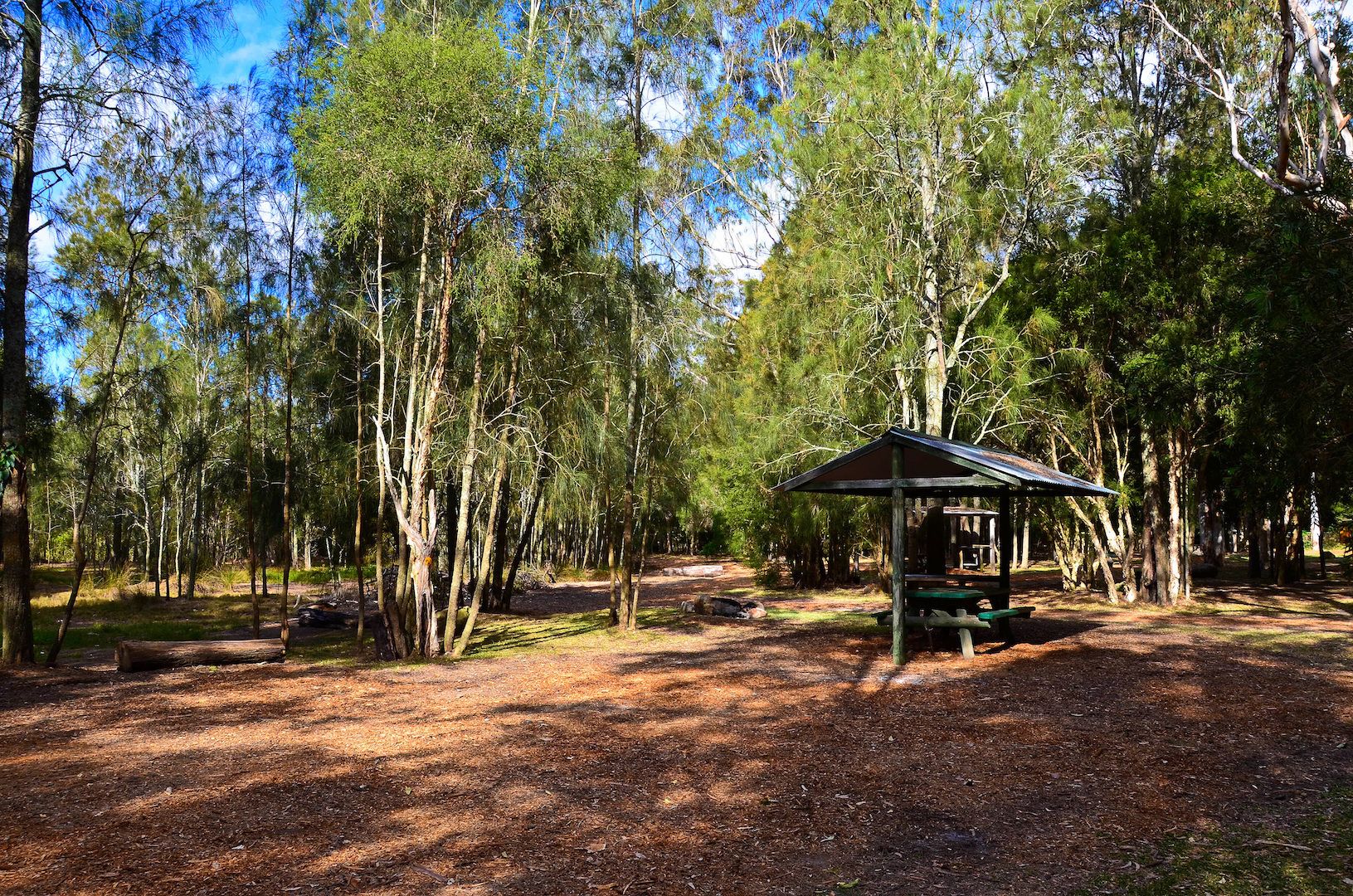 Ein bewaldetes Gebiet mit einem hölzernen Pavillon und einem Picknicktisch.