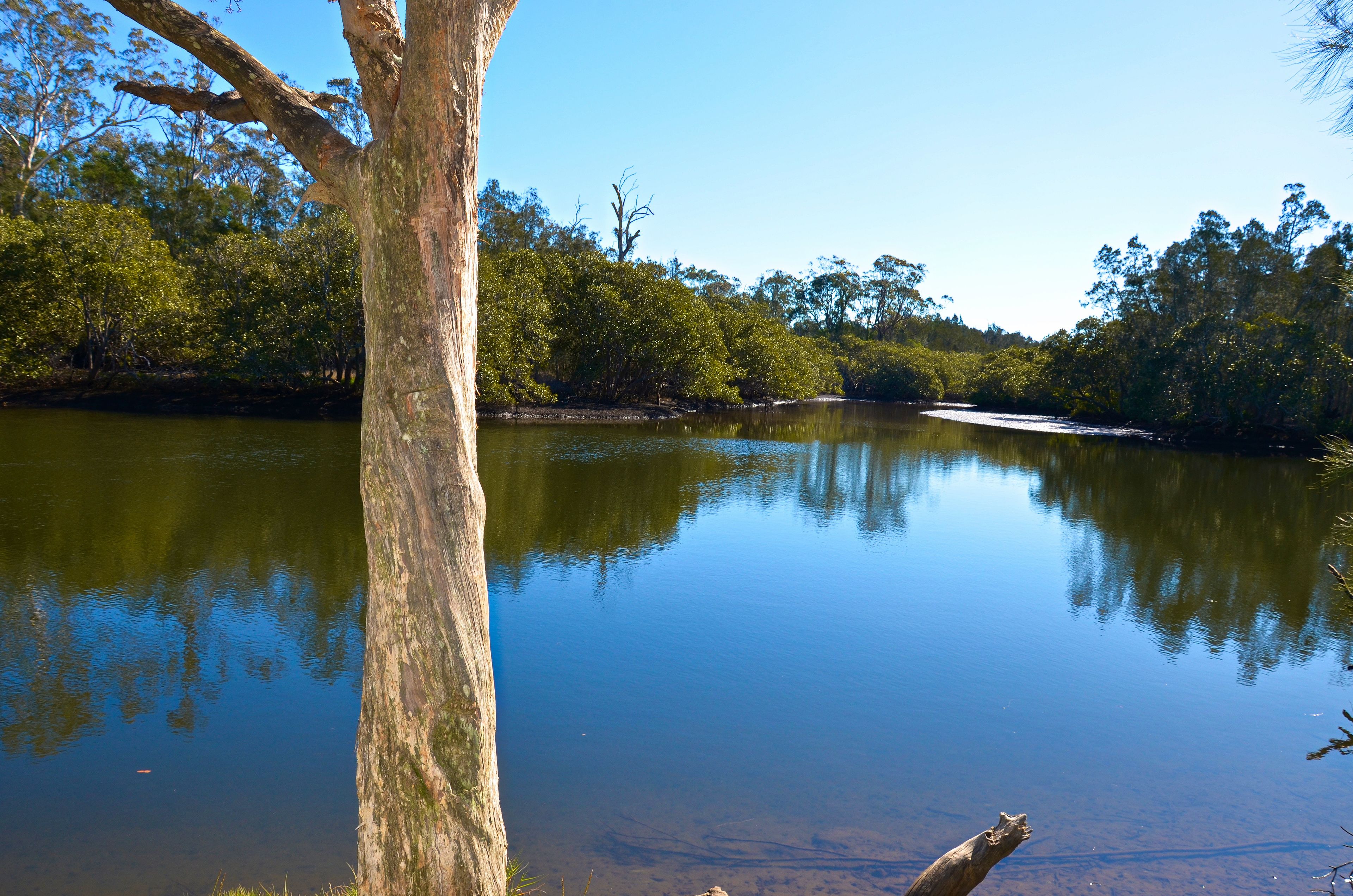 A calm river with trees on both sides.