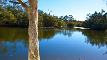 A calm river with trees on both sides.