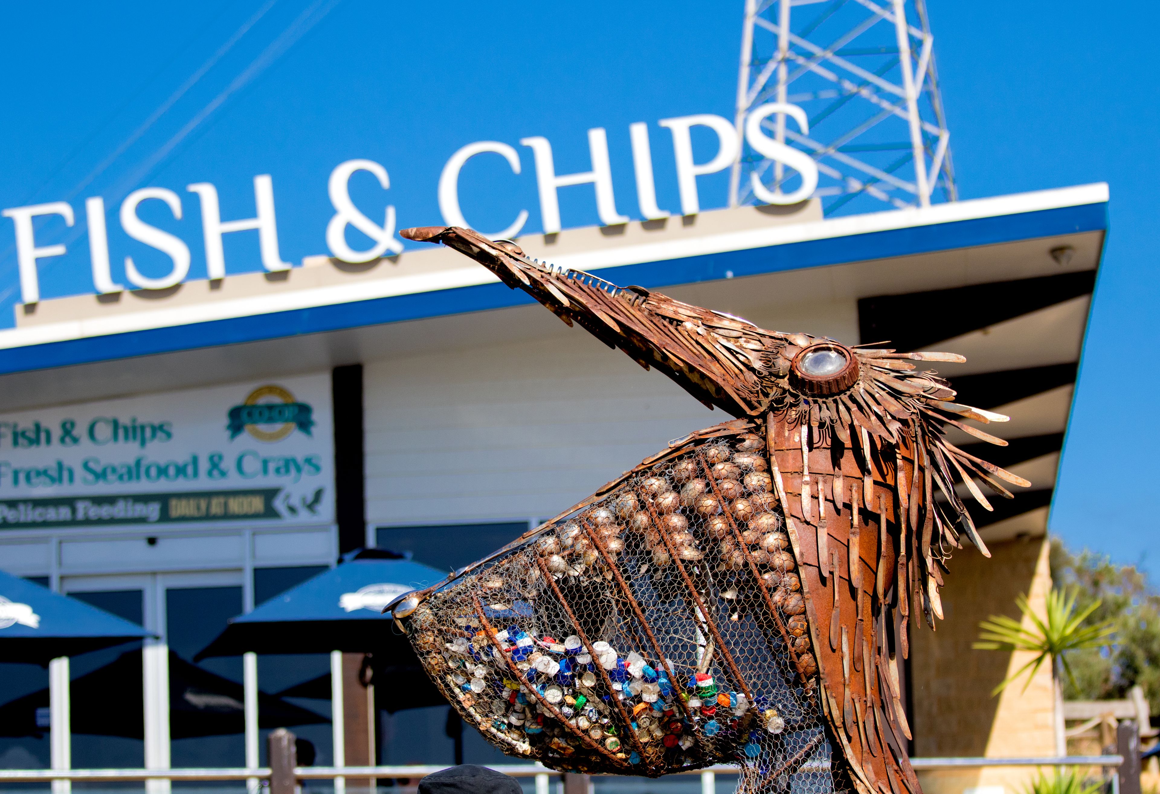 A metal sculpture of a fish with a fishing net filled with bottles, in front of a seafood restaurant named "Fish & Chips".