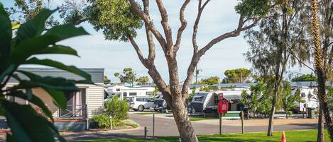 Une rue bordée d’arbres, avec des camping-cars garés le long du trottoir.