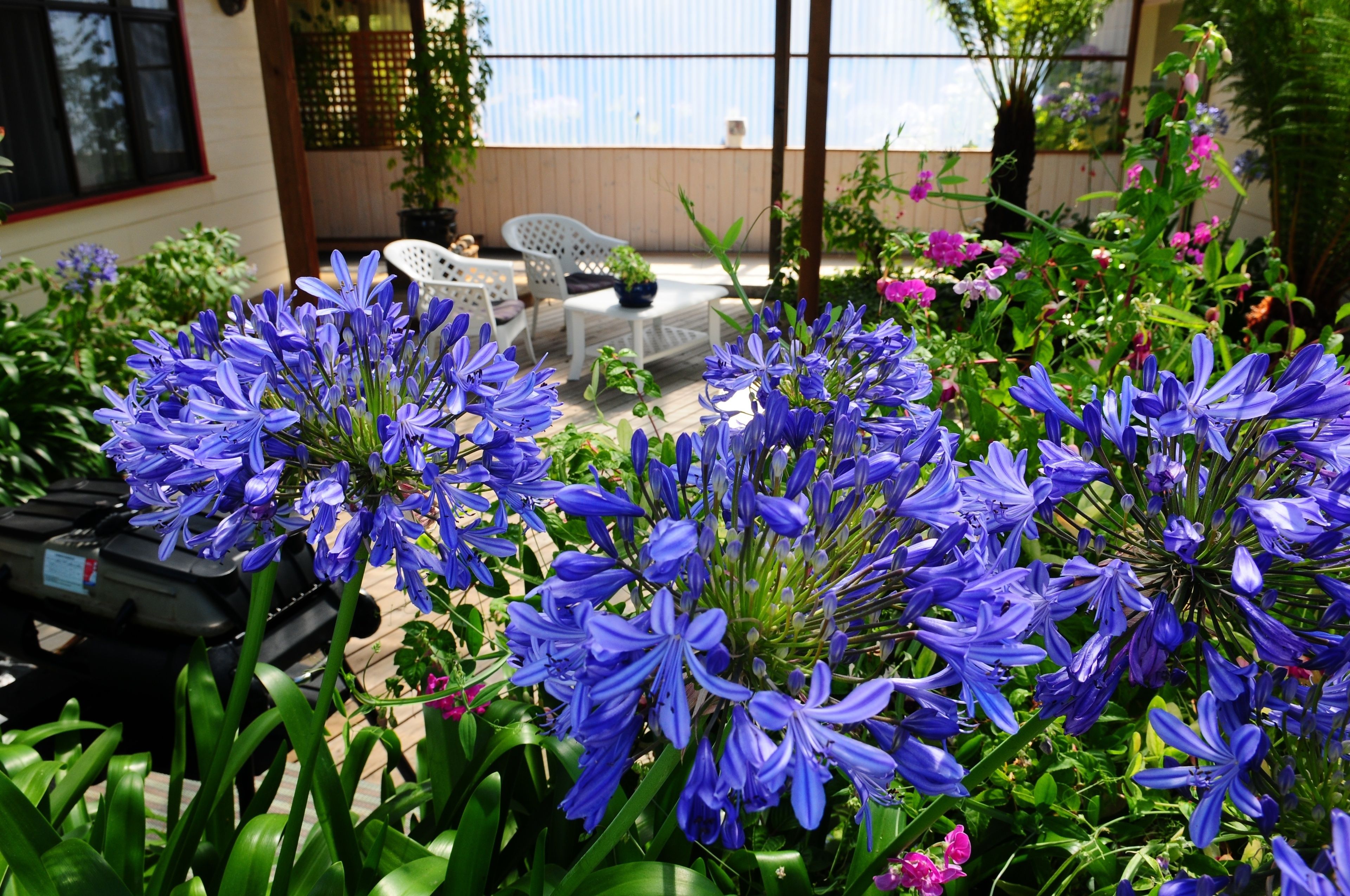 The Crays Accommodation — image 21