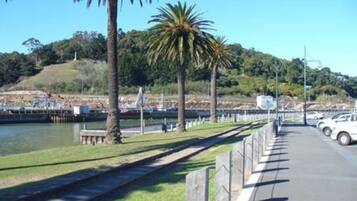 Un paseo marítimo con sendero cubierto de césped, palmeras y vista al agua y colinas al fondo.