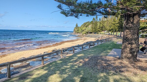 A coastal walkway with a wooden fence, grassy areas, and trees. - Moffat Beach Motel Caloundra (Moffat Beach)