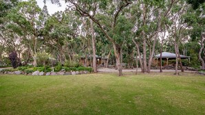A rustic house surrounded by a natural landscape with trees and a lawn. - Honeysuckle Cottages Stanthorpe (Applethorpe)