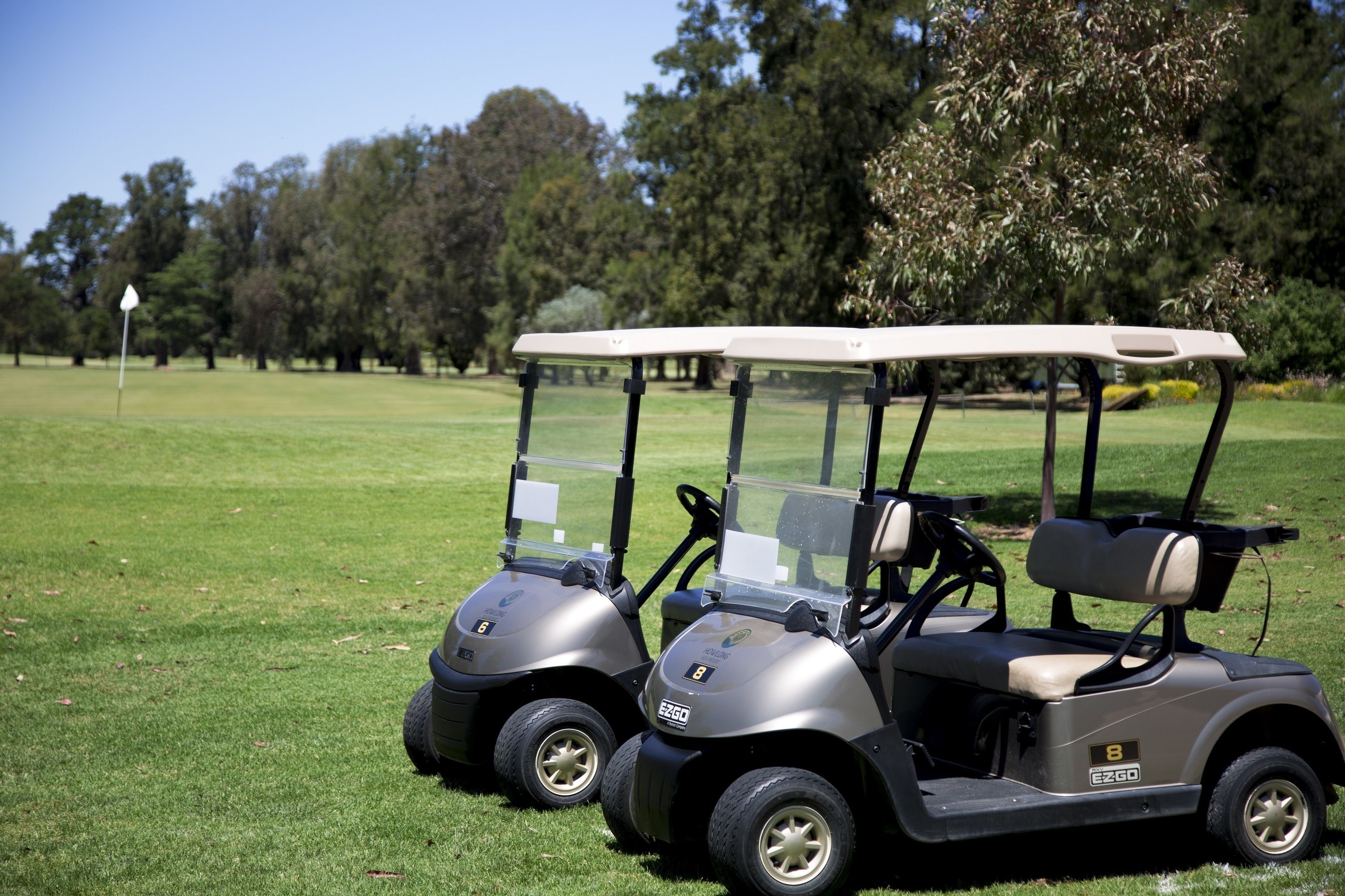 Dos carritos de golf estacionados en un campo cubierto de césped, con árboles al fondo.