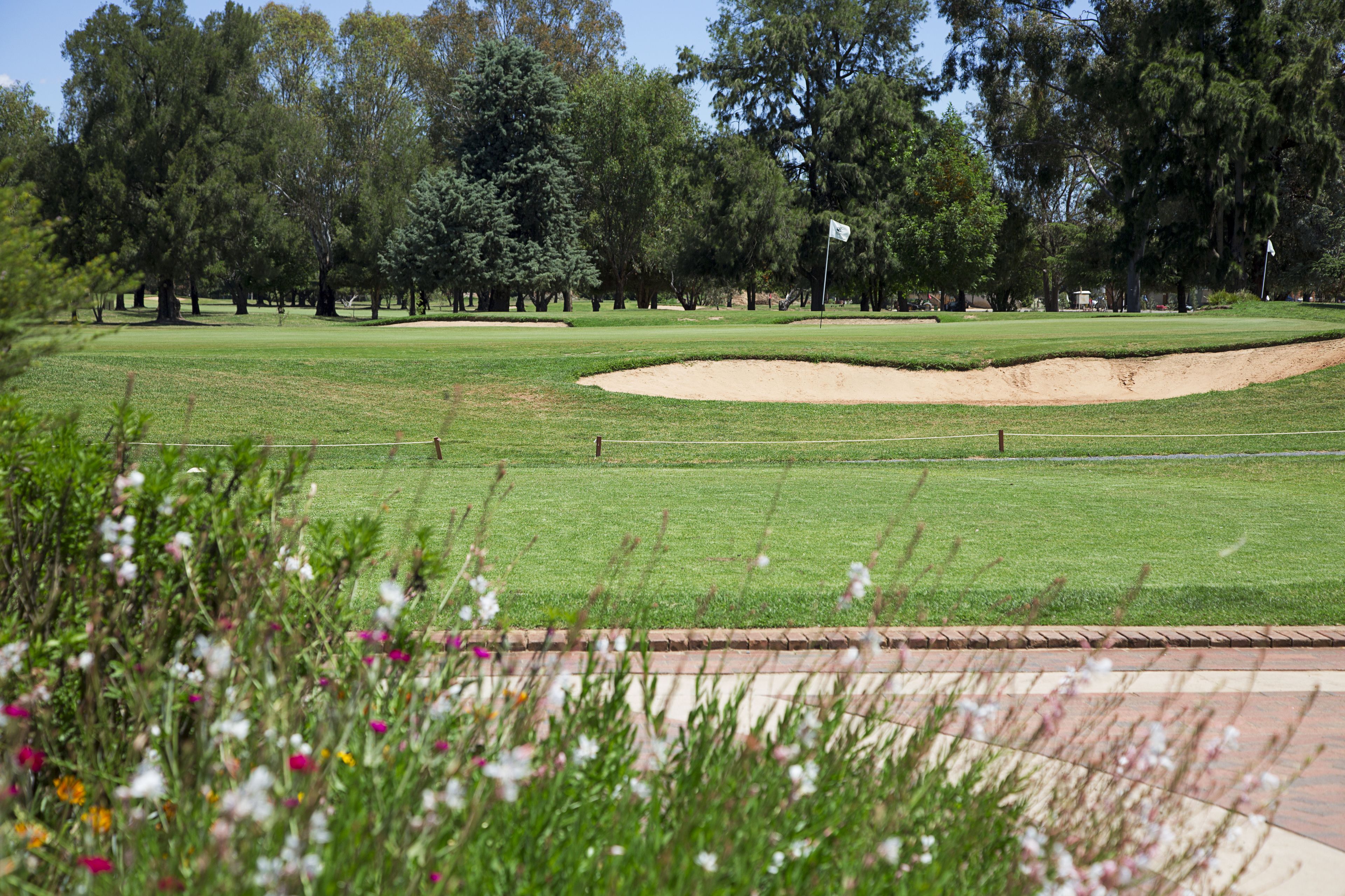 A golf course with a sand bunker, trees, and a flagstick.