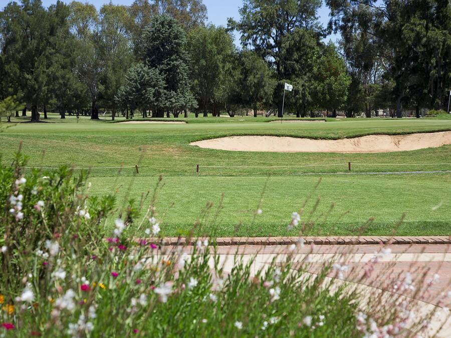 A golf course with a sand bunker, trees, and a flagstick.