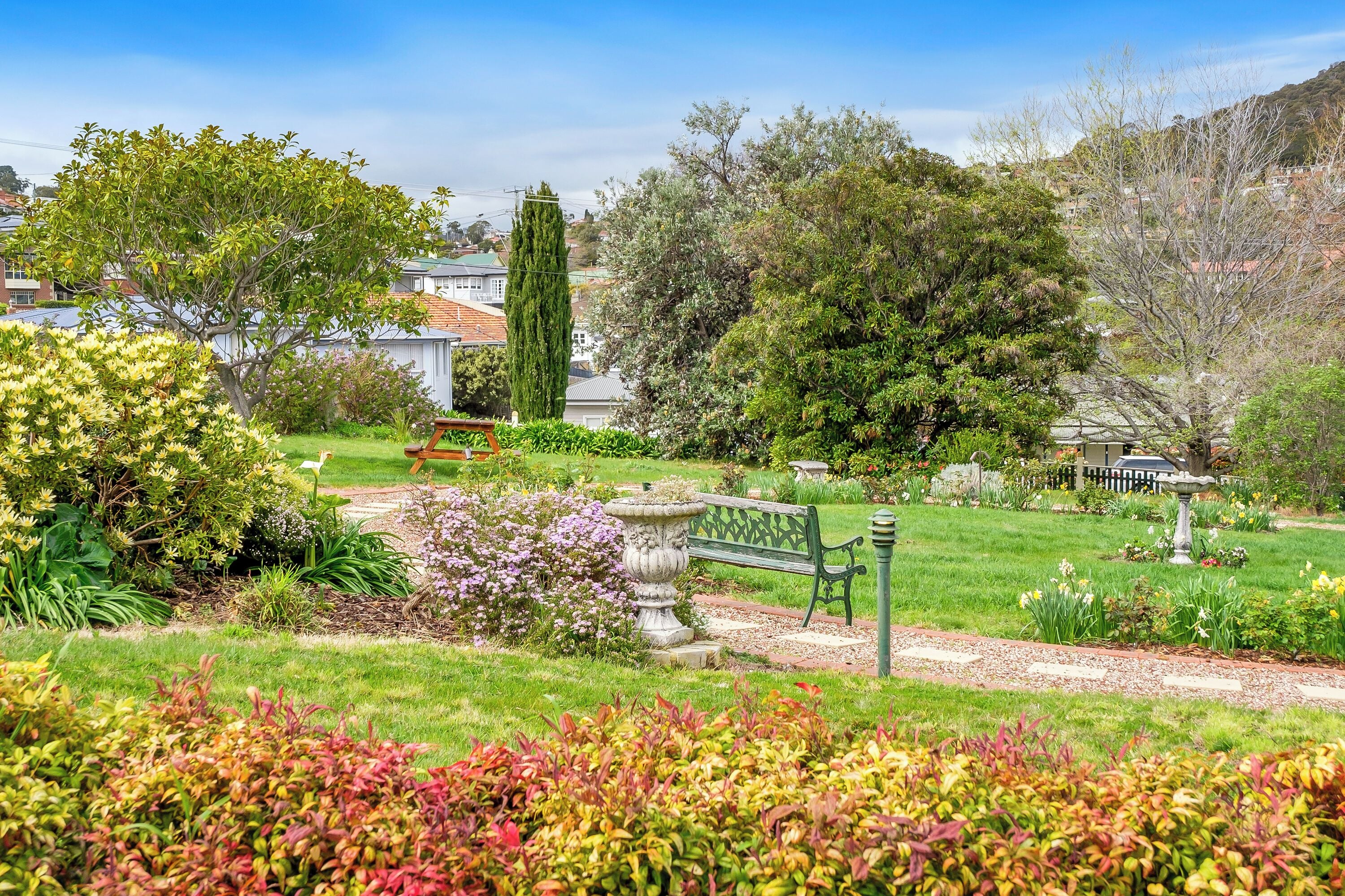 A garden with a bench, a birdbath, and various plants.