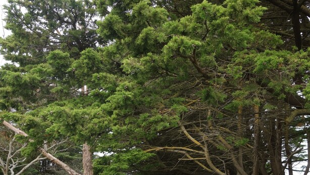 Exterior - Morella Farm Stay (Cape Jervis)