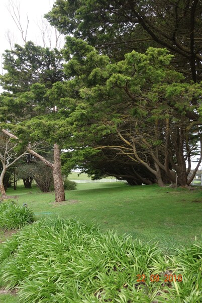 Morella Farm Stay
