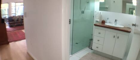 A modern bathroom with a glass shower enclosure, a white sink, and a mirror above it.