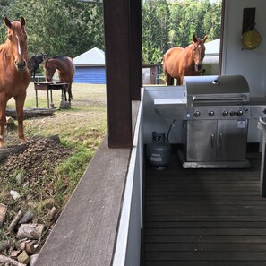 Outdoor dining - Ingleside Stud Farm (Tallebudgera Valley)