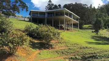 Standard Suite, 1 Bedroom, Shared Bathroom | Egyptian cotton sheets, premium bedding, individually decorated