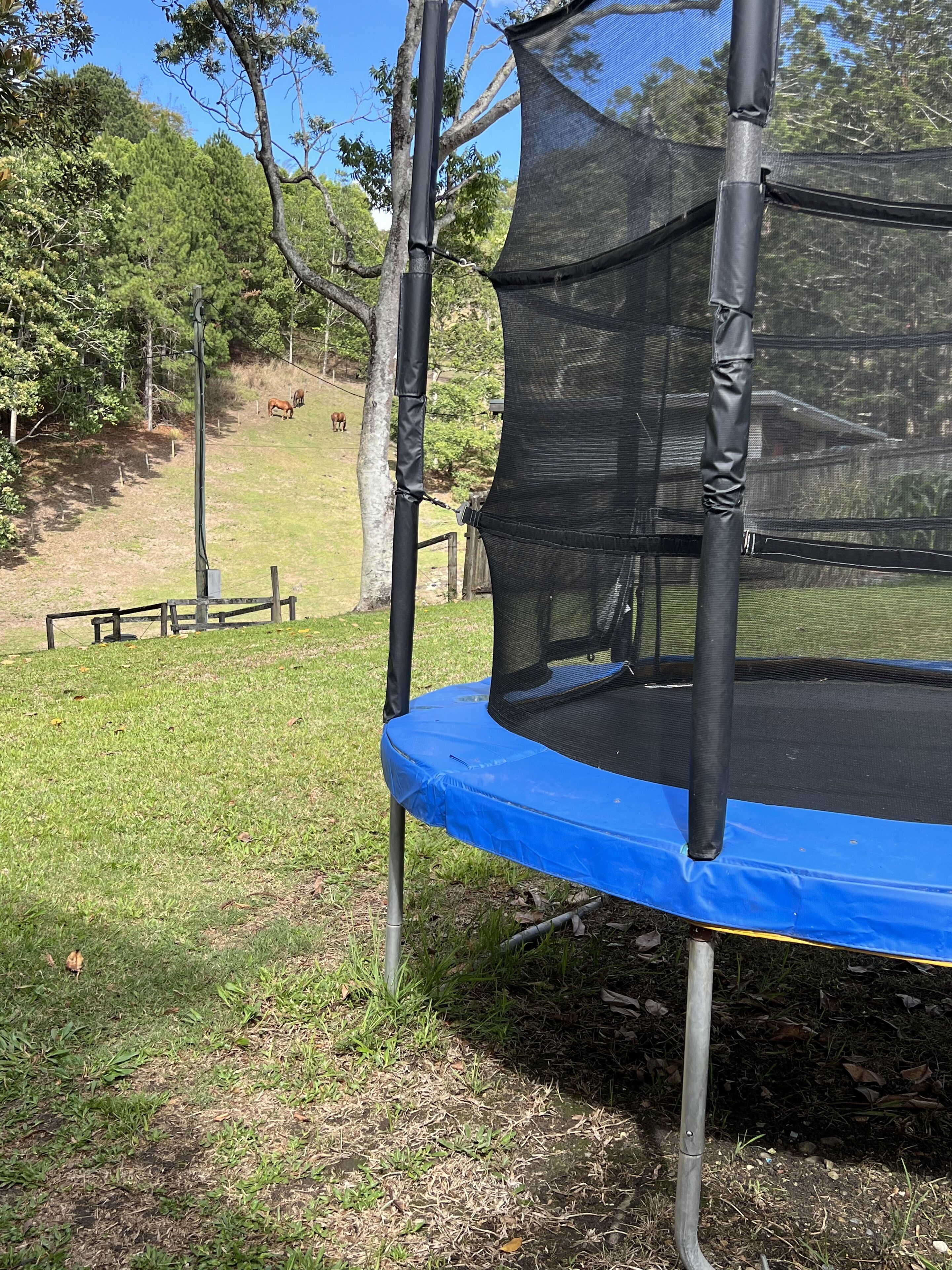 A trampoline with a safety net, set on a grassy area with trees and a picnic table in the background.