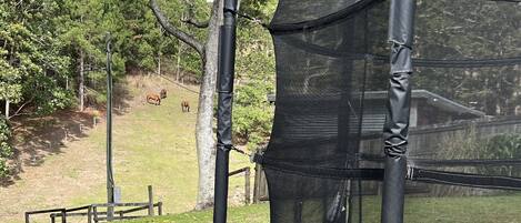 A trampoline with a safety net, set on a grassy area with trees and a picnic table in the background.