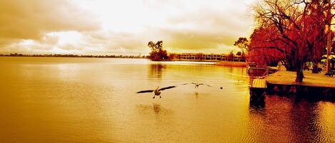 A waterfront view with a dock and a row of trees.