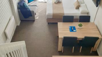 A hotel room with a bed, a seating area with a table and chairs, a small table with a plant, a white radiator, and a wall-mounted TV.