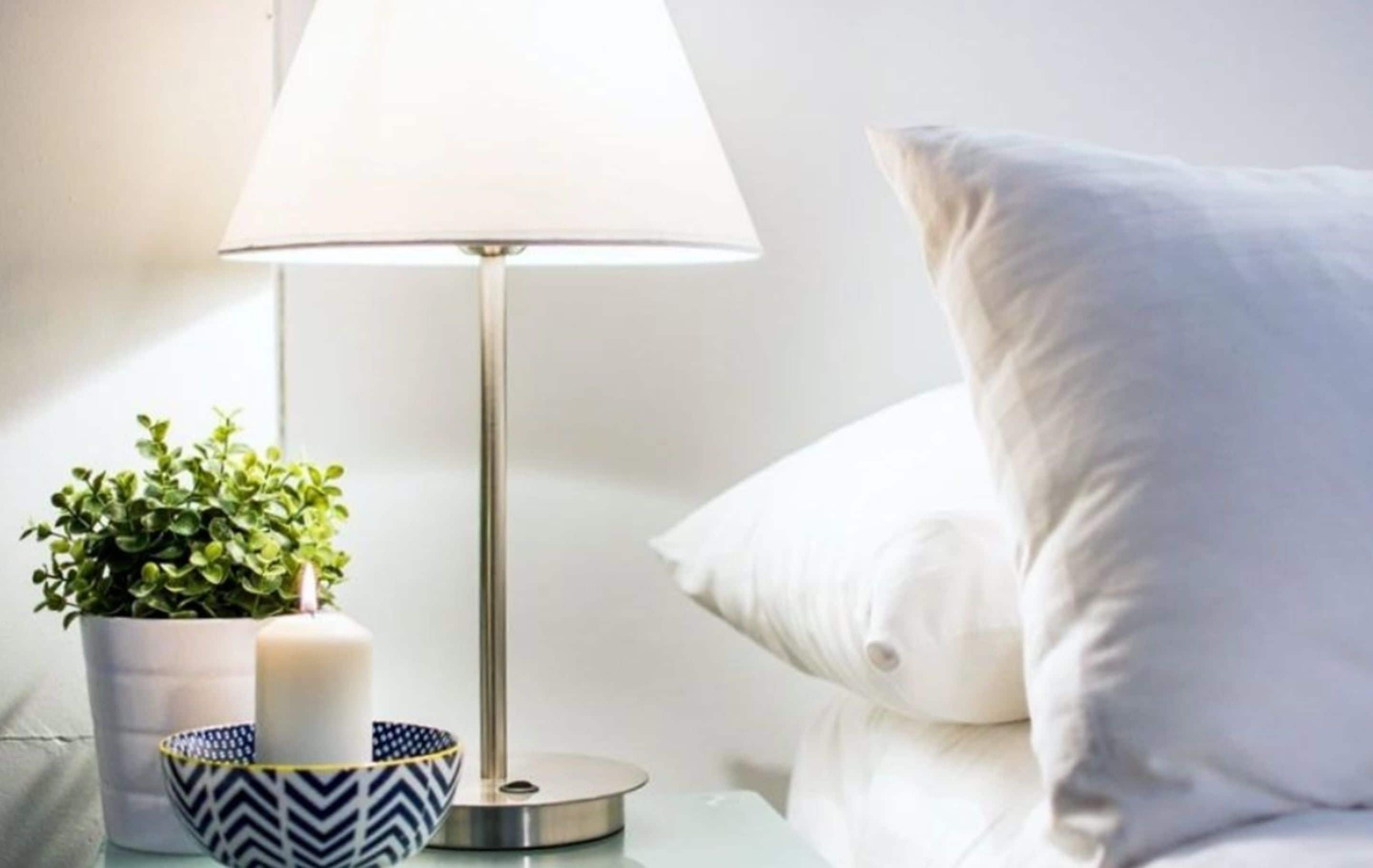 A neatly arranged bedroom with a bedside table featuring a lamp, a potted plant, and a decorative bowl.