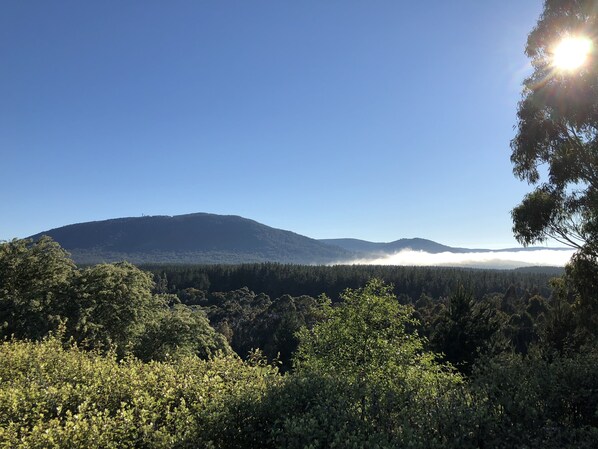 A mountainous landscape with dense forest in the foreground and a clear sky. - Macedon Ranges Hotel & Spa (Macedon)