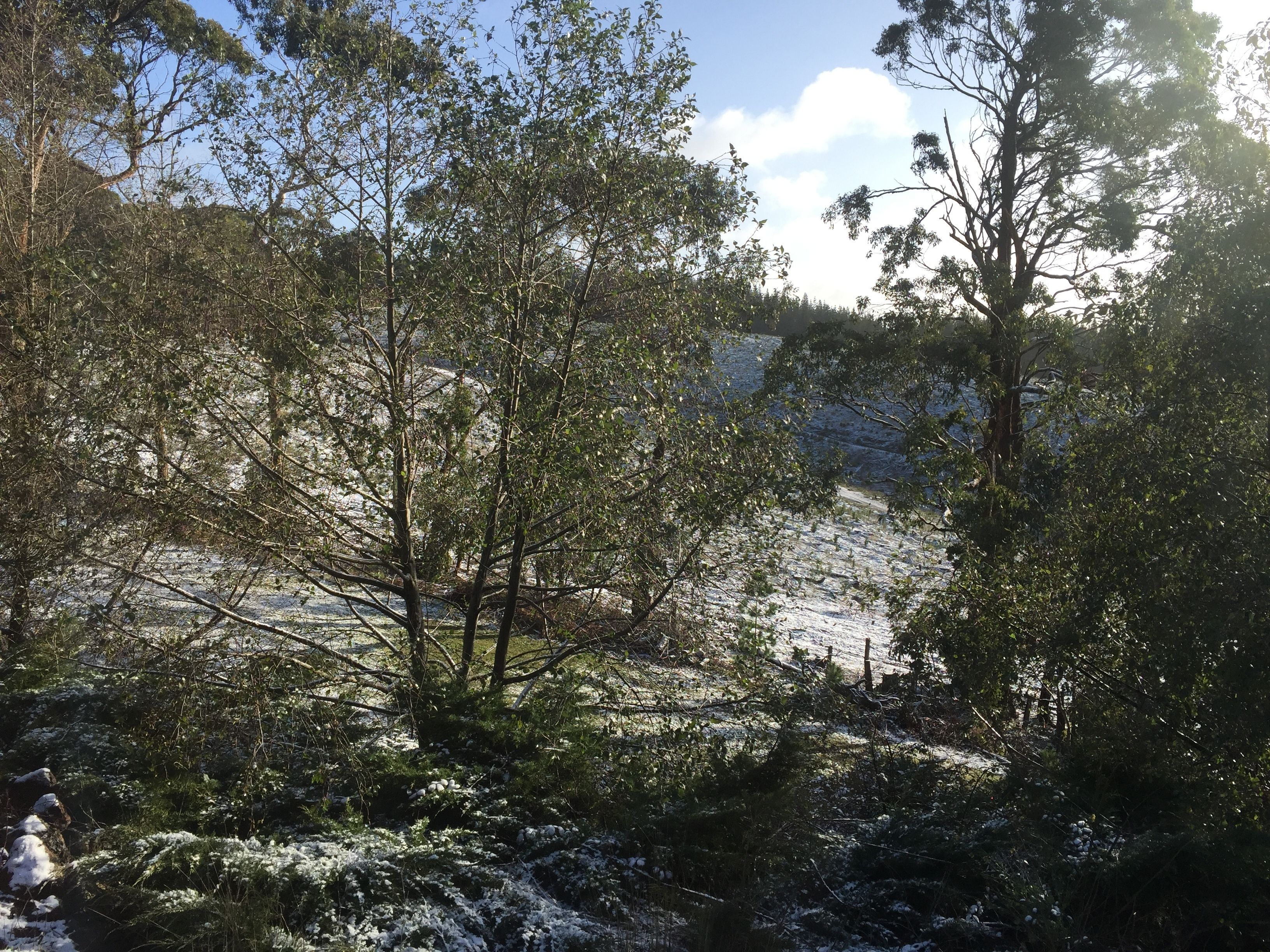 deluxe king room | mountain view