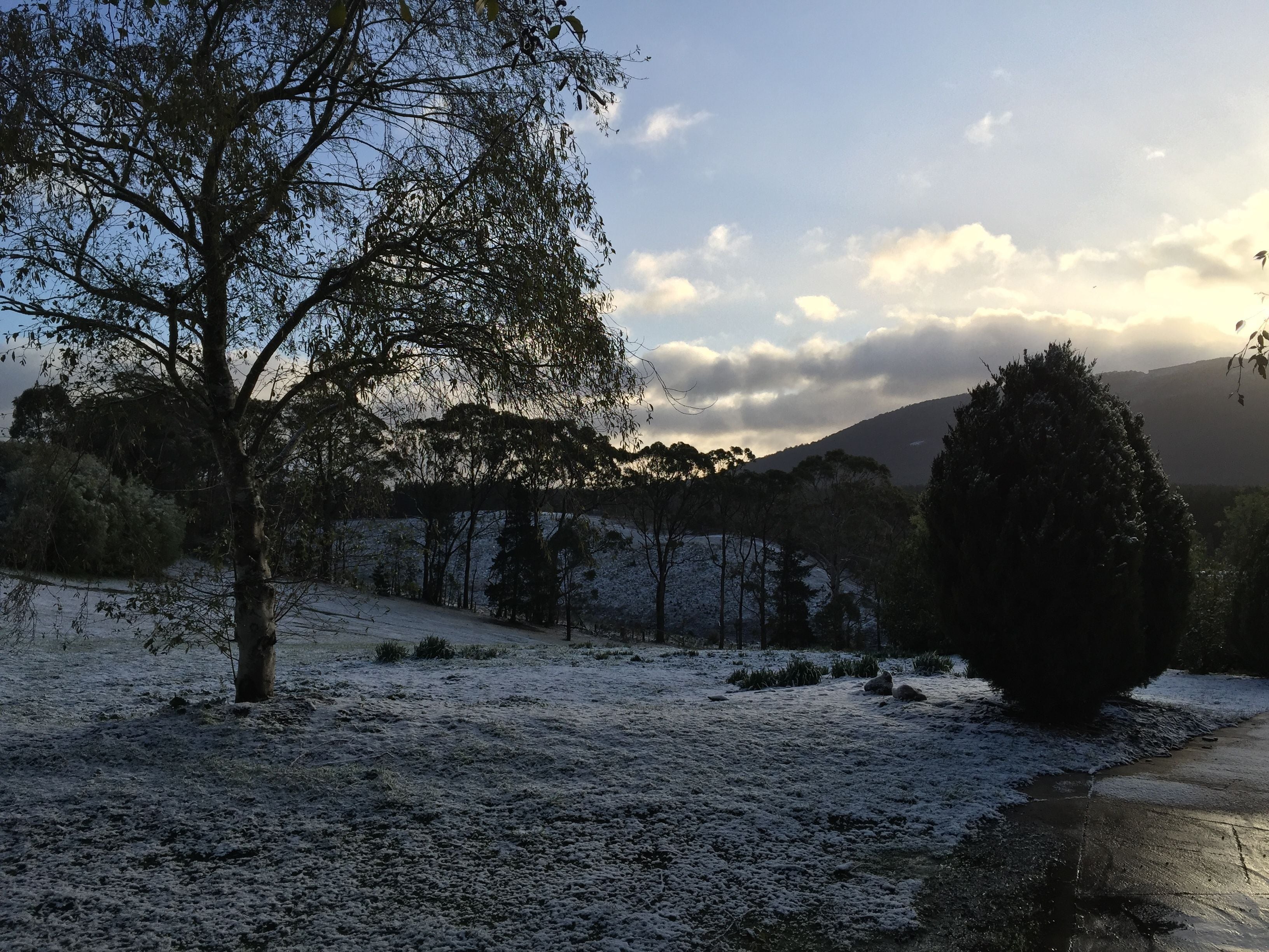 Paesaggio innevato con alberi e un sentiero.