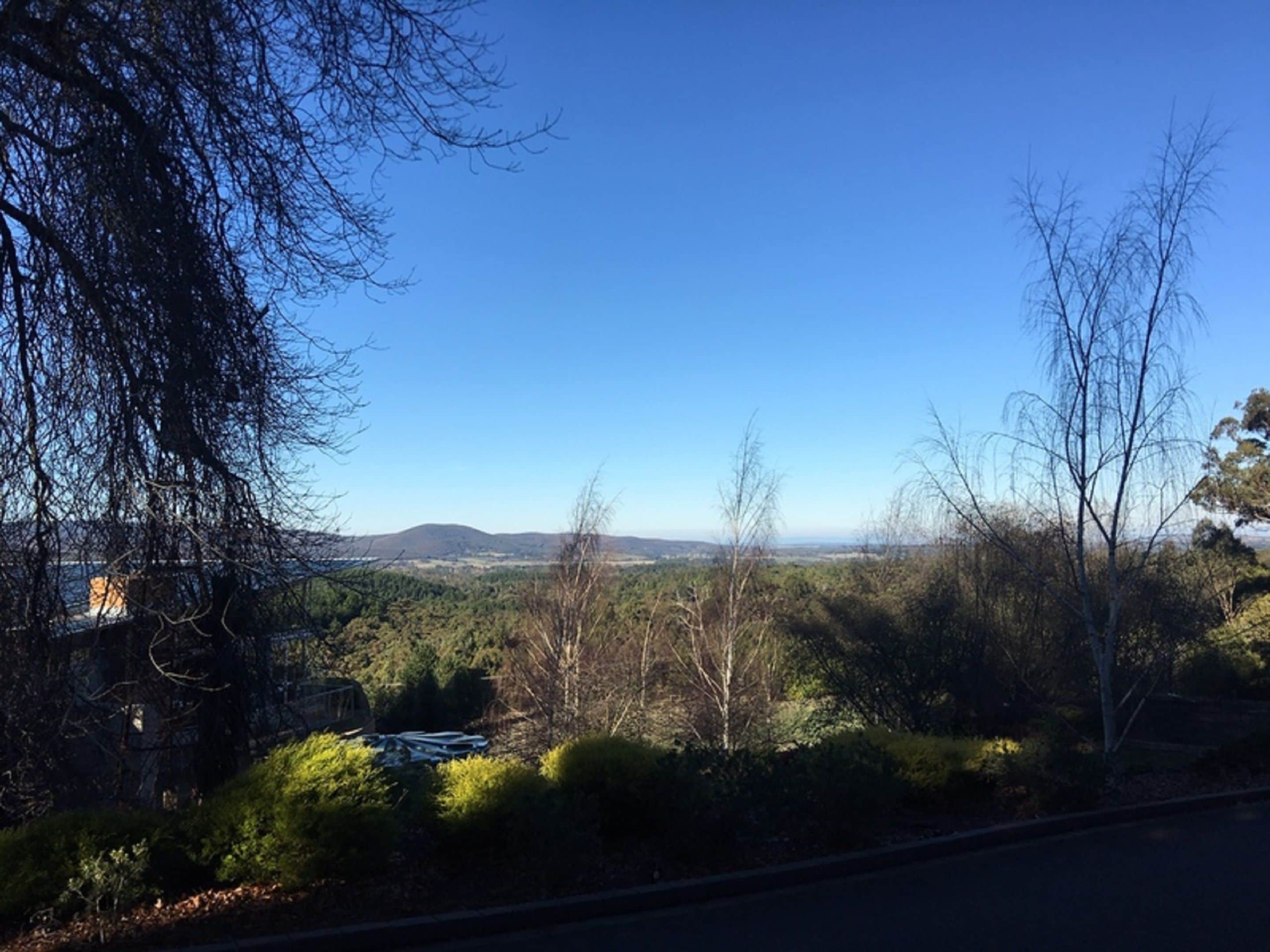 A view of a road with a forested area and hills in the distance.