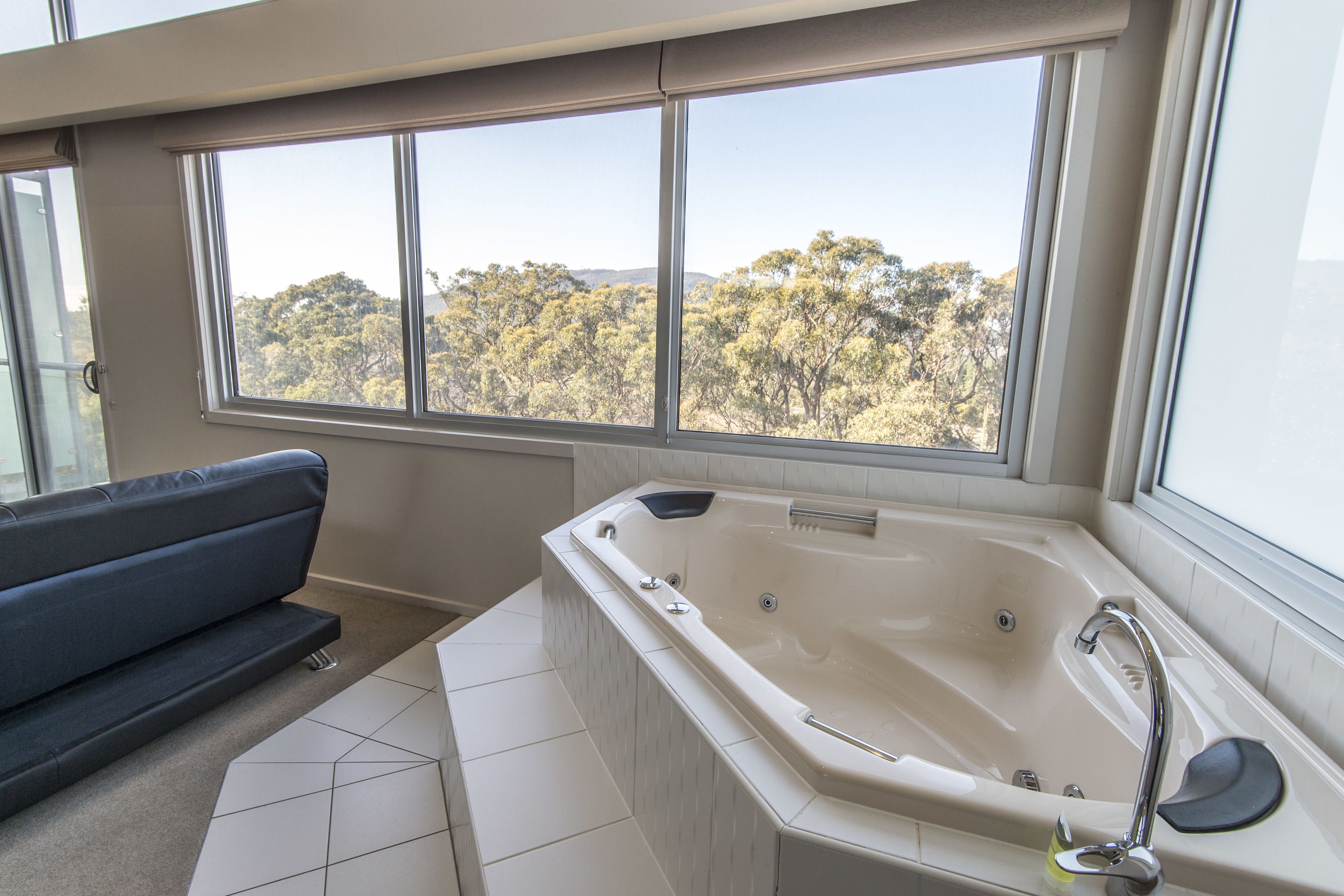 executive suite | jetted bathtub