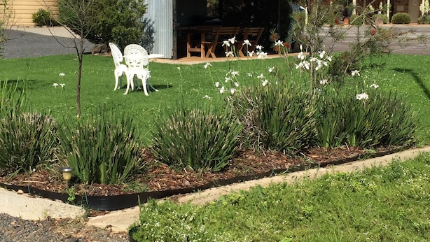 A rustic building with a metal roof, surrounded by a well-maintained garden with white chairs and flowers. - Tuckerbox Motor Inn (South Gundagai)