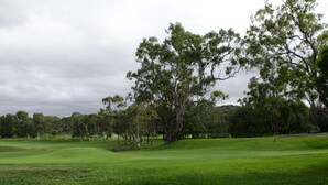Un terrain de golf avec un drapeau, des arbres et un ciel nuageux.