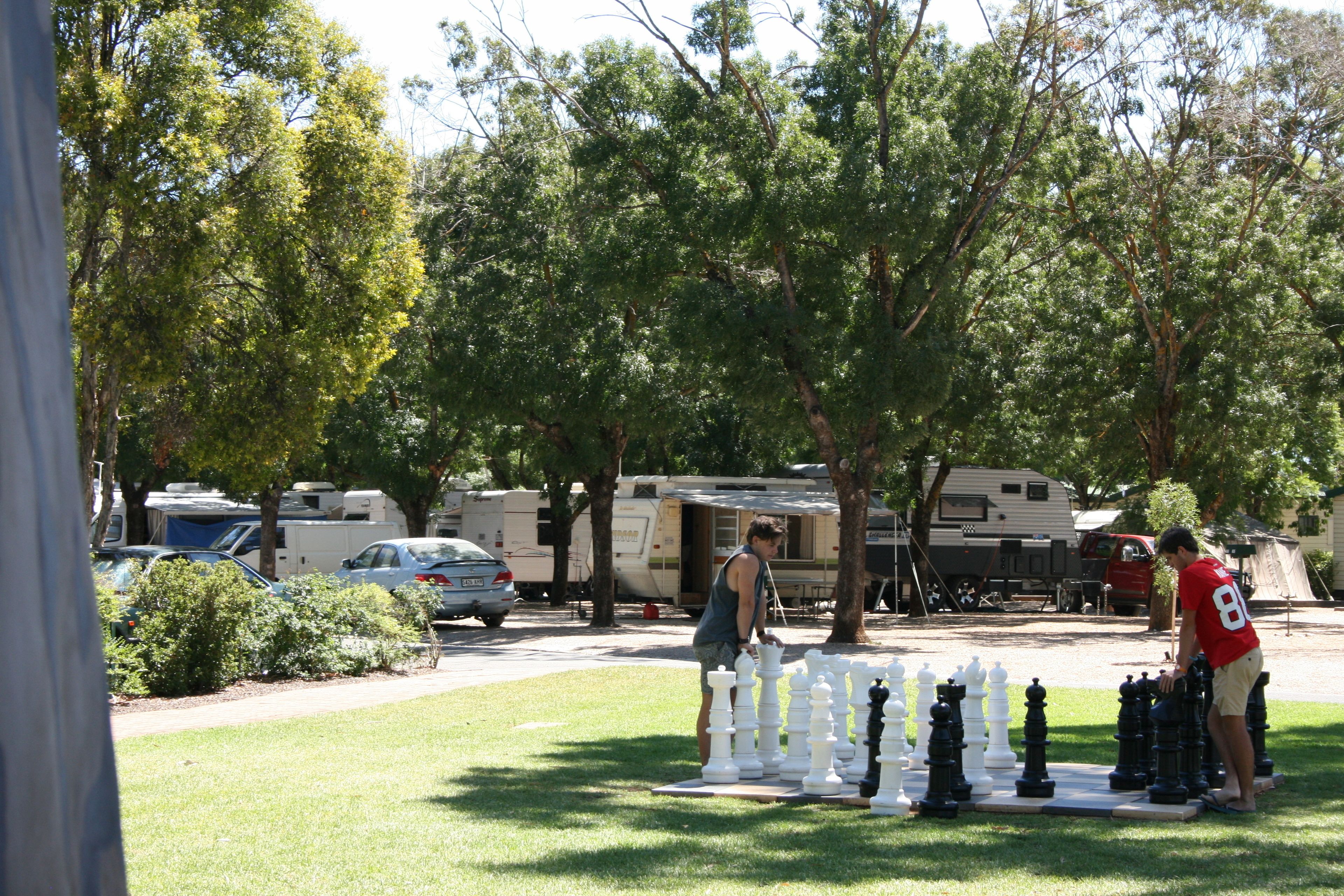 A chessboard set up on a grassy area with trees in the background.