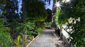 Un camino pavimentado bordeado por abundante vegetación y un edificio con un porche cubierto.