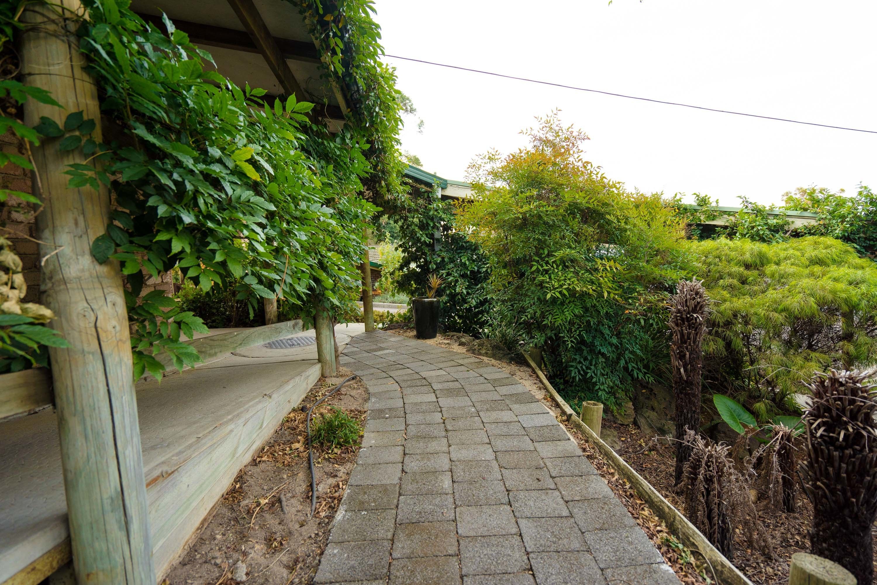 Un camí de pedra que serpenteja per un jardí amb diferents plantes i una tanca de fusta a un costat.