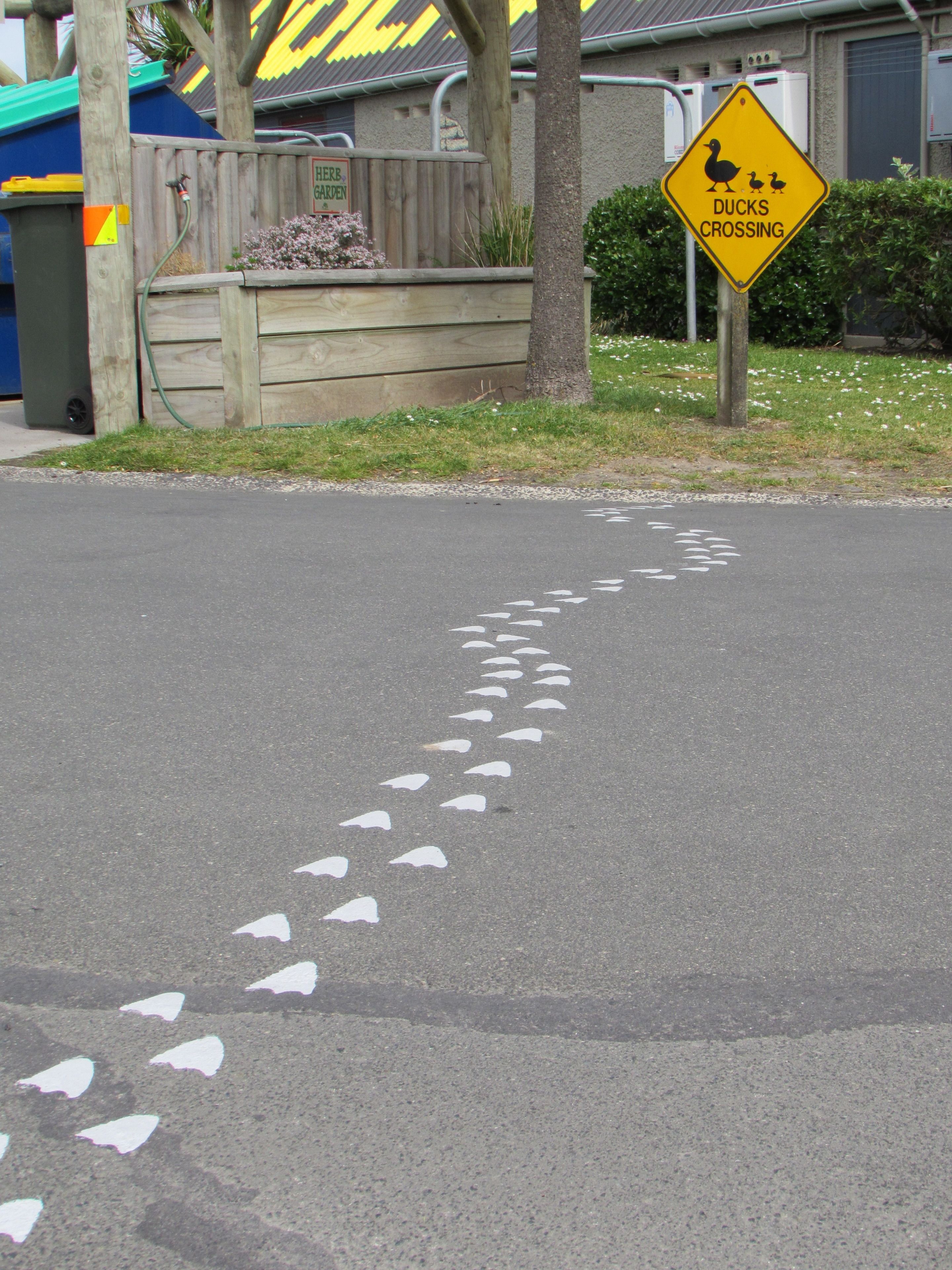 A road with duck crossing signs and painted duck footprints.