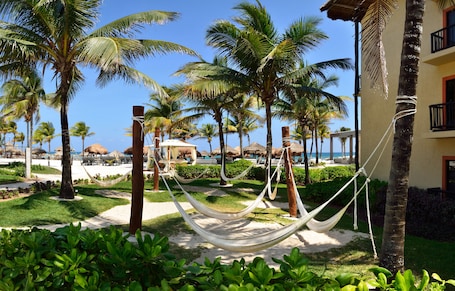 Garden. Catalonia Yucatan Beach - All Inclusive