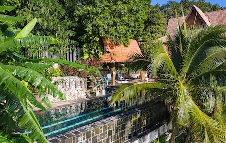 Una piscina al aire libre, sombrillas, sillones reclinables de piscina