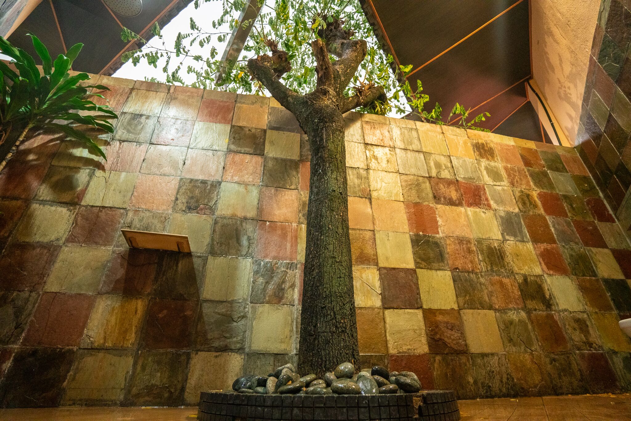 A tree with a tiled wall background.