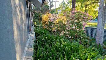 Jardín