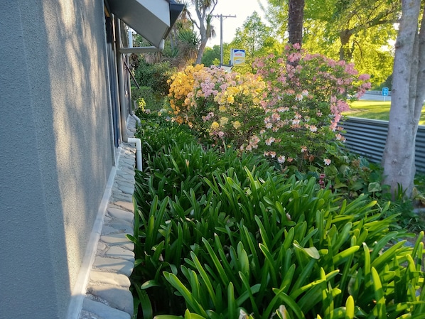 Jardim