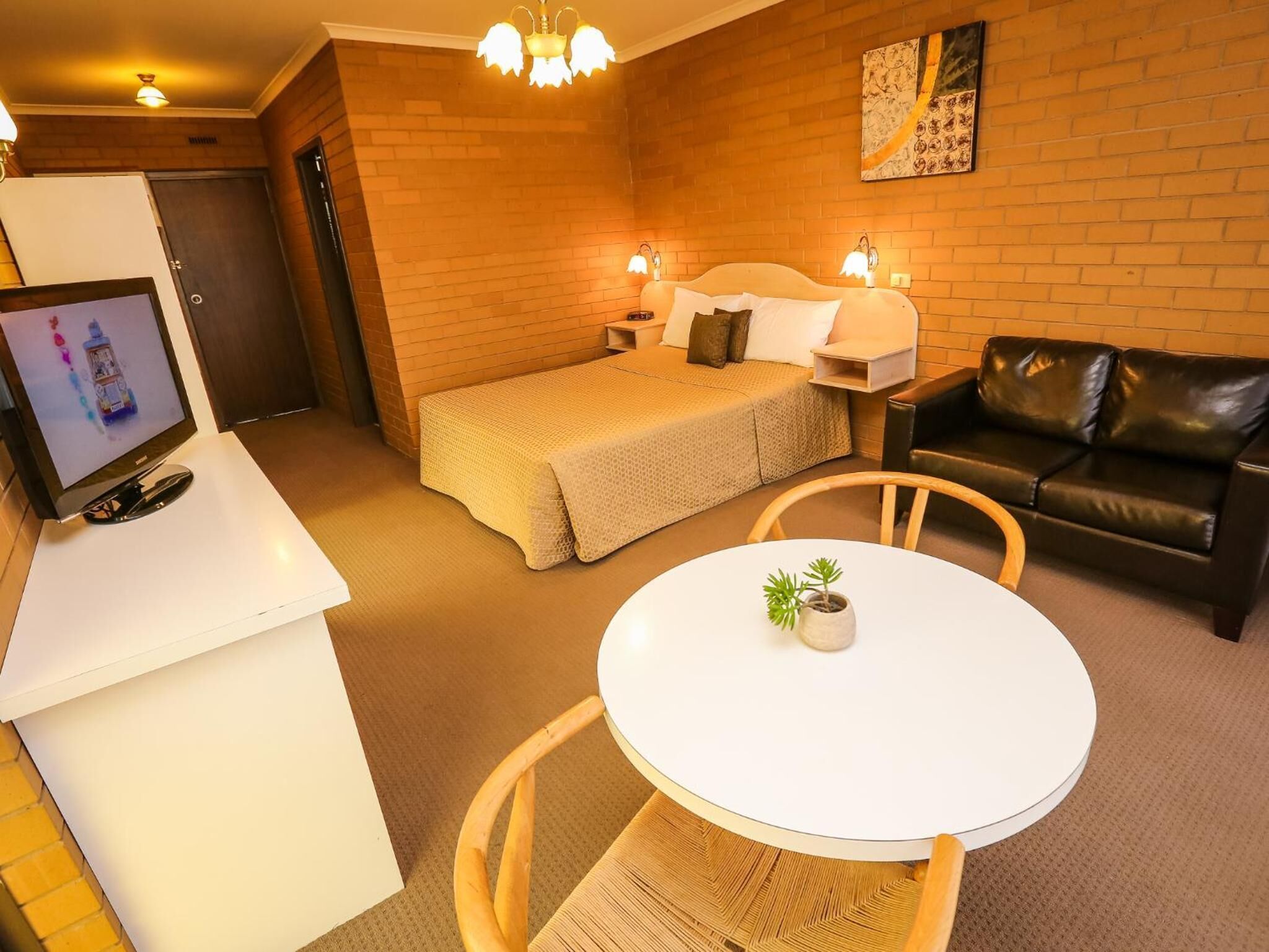 Habitación de hotel acogedora con una cama, un sofá, una mesita con una planta y un televisor sobre un soporte blanco.