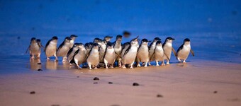 聖雷莫皮里肯汽車旅館