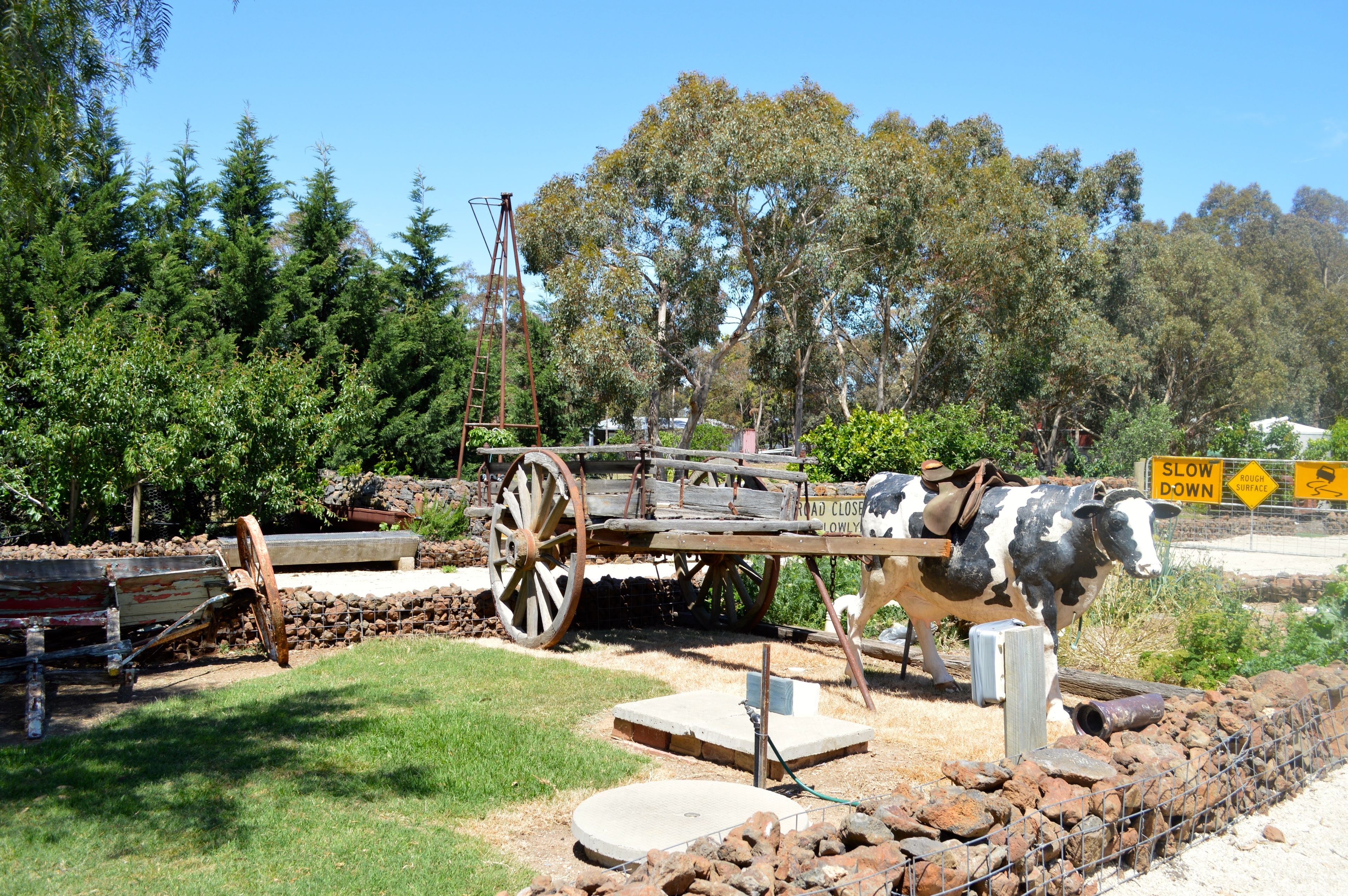 A historical exhibit featuring a wooden cart with a cow, surrounded by rocks and trees.