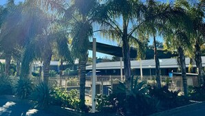 A sunny outdoor area with palm trees and a metal fence. - Tooleybuc Motel (Tooleybuc)