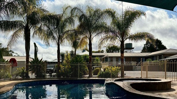 A swimming pool with clear water, surrounded by palm trees and a fenced area. - Tooleybuc Motel (Tooleybuc)