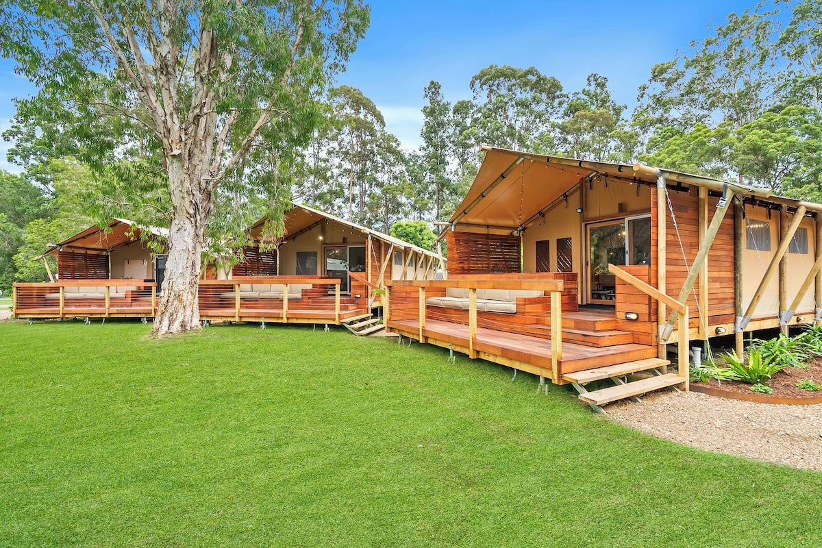 A series of wooden cabins with outdoor decks and a large tree in the foreground.